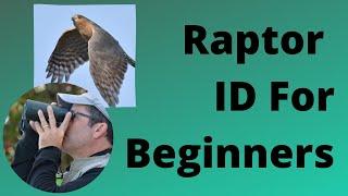 Raptor ID for Beginners