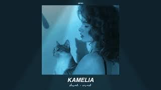  akcent - kamelia (slowed + reverb) // feat. lidia buble & ddy nunes