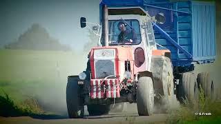 Fortschritt ZT 403 6 Zylinder Maishäckseln Landwirtschaftsbetrieb Großdrebnitz