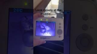 Unknown entity visits her baby..