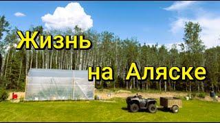 Жизнь на Аляске. Весна-лето 2025г. Стройка. Домашнее хозяйство. Рыбалка.