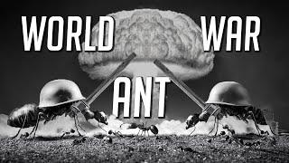 The Great Ant War (yes this is a real thing)