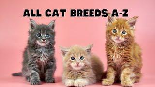 All Cat Breeds A to Z