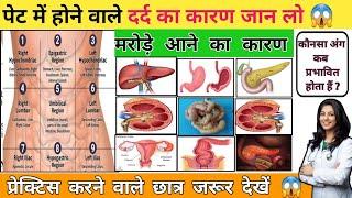 पेट दर्द होने का कारण | पेट मे मरोड़े आना | पीरियड का दर्द |पथरी का दर्द | abdominal cavity |