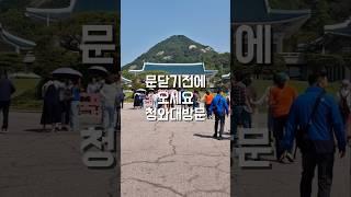 문닫기전에 오세요 청와대방문#청와대#무료입장#사전예약#서울가볼만한곳#서울여행