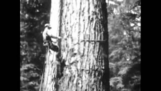 A Story of West Coast Lumber Reel 2 of 5