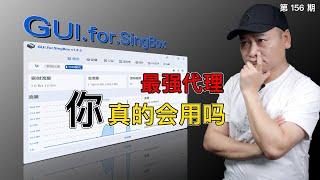 最强代理软件！GUI.For.SingBox详细使用教程，规则配置、节点转换不求人！TUN，策略组、分流规则集、路由规则、节点整理最新保姆级教程！（关联翻墙客户端/ 2024/SingBox内核）