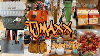 TJMAXX TOP TRENDING DESIGNER BRANDS. @AngieHart67  #patricianash #stevemadden # falldecors2024