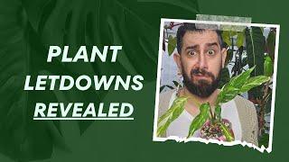 Not Worth It! Top 10  | Houseplants I Wouldn't Recommend! ‍️