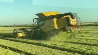 Step 1 of Harvest