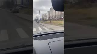 Deer narrowly avoids collision with car in Mytishchi, Russia