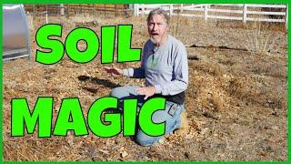 How to Transform Bad Soil Into Good Soil