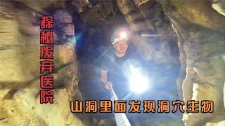 废弃医院后隐藏神秘山洞，时常发出奇怪叫声，进入探秘遇到洞穴生物，里面桌椅板凳齐全【户外行军蚁Explore adventure】