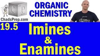 19.5 Imine and Enamine Formation | Addition of Amines | Organic Chemistry