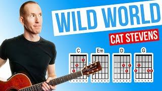 Wild World  Cat Stevens  Acoustic Guitar Lesson [with PDF]