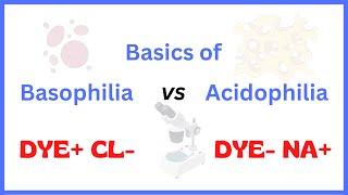 Acidophilia Vs Basophilia