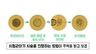 [마리아병원]과배란 주사 없이 가능한 시험관아기 시술