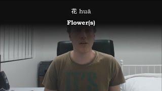 Chinese Word: 花 huā -- flower(s)