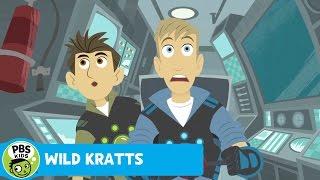 WILD KRATTS | Goblin Shark | PBS KIDS