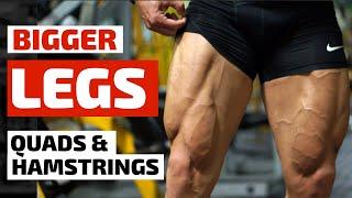 Build Bigger Legs - Massive Quads & Hamstrings Workout