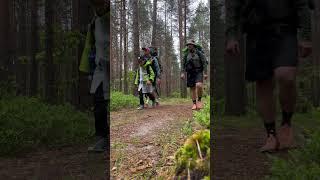 «Дорога тишины» ️ #туризм #поход #путешествие #travel #travelvlog #forest #summer