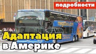 Помощь в Америке . Социальная адаптация в США