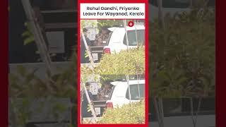 Congress MP & LoP Rahul Gandhi, Priyanka Gandhi Leave For Wayanad, Kerala