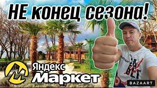 #Кабардинка. Этот курорт не перестаёт удивлять! Что говорят отдыхающие?! Распаковка Яндекс Маркет.