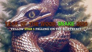 Year of the Wood Snake 2025: Yellow star 5 falling on the Northeast