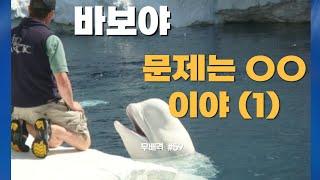 동네 김밥장사에서 글로벌 비즈니스로 키우는 방법 (1) , 바보야 문제는 00이야, 무배격 #59