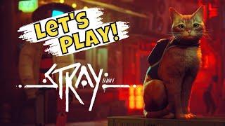 First Impressions of STRAY (A Cat Video Game) *PART 1*