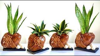 How to Make Amazing Indoor Gardening Ideas for Indoor Plants Decoration / Home Decorating Ideas