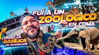  ¡Fui al ZOOLÓGICO de CDMX y terminé en la BASÍLICA de GUADALUPE!  ¡Qué viaje!