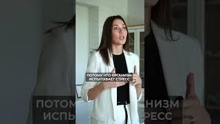 Лучшие витамины для сжигания жира! #витамины #питание #здоровье