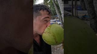 The CRAZIEST coconut purchase I have ever made 