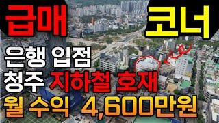 급매물대지381평 터미널 바로 옆 지하철 호재? 월 수익 4,600만원 상가빌딩매매 상가건물매매입니다