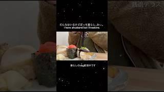 暮らしのvlog/【限られた外出】/何気ない日常/ズボラな暮らし/犬の暮らし/北海道の暮らし/いつの間にか50代の暮らし