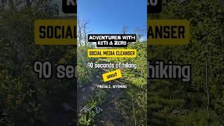 Adventures with Koti & Zero. 90 seconds of hiking. #SocialMediaCleanser #relaxingvideo #hikingdog