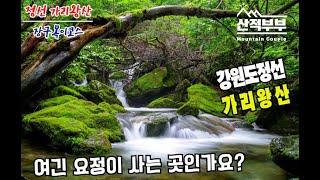 [4K]여름에 꼭 가야하는 산/여름에 추천 하는산/가리왕산/이끼계곡/강원도 정선/블랙야크 100대명산/ Mountain / South Korea / Hiking