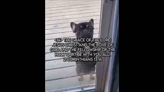 Weekly bible verse + a dog dancing! #jesusislord #edits #dogs