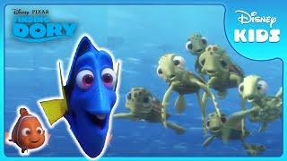 Exploring the Open Ocean! | Finding Dory | Disney Kids