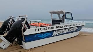 Extreme Boating - 19 September 2024 - Whale Watching Launches