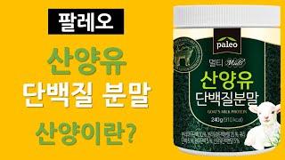 팔레오 멀티 산양유 단백질분말 리뷰 | 산양유란 무엇인가