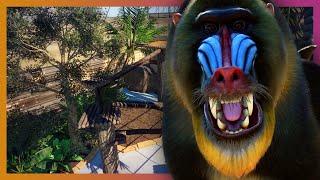  Mandrill Rainforest Enclosure | Planet Zoo Beta