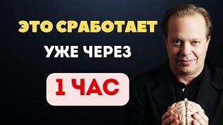 Внимание: Сделай Это Сегодня и Увидишь Результат Уже Через 1 ЧАС - Джо Диспенза