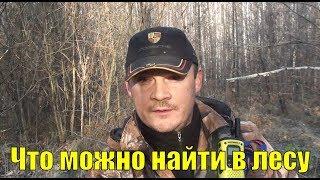 Что можно найти в лесу. Коп 2018. В поисках золота UA!