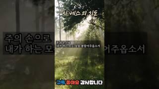 매일 묵상기도 | 야베스의 기도 #묵상기도 #1분기도