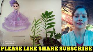 #shorts#Gardening with geet kumar#gardening with geet kumar English.