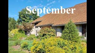 This month in our native gardens - September 2024