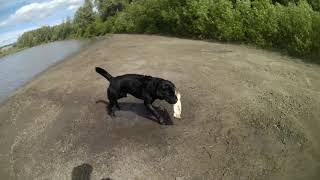 Afternoon River Adventure